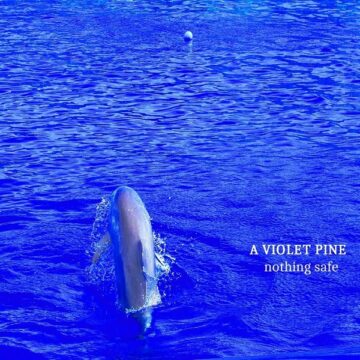 La copertina di Nothing Safe degli A Violet Pine